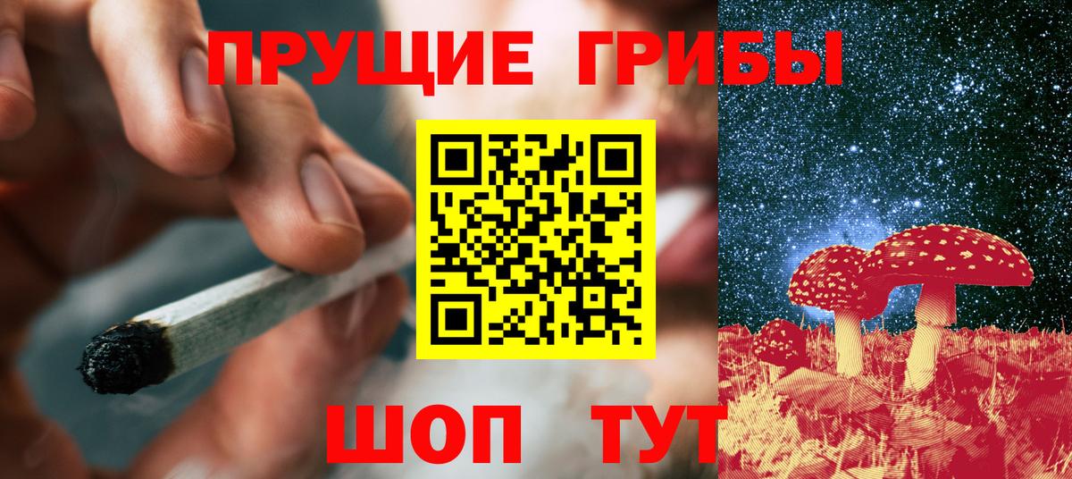купить наркоту  Галлюциногенные грибы Psilocybine cubensis  Вход с VPN  Ялта 