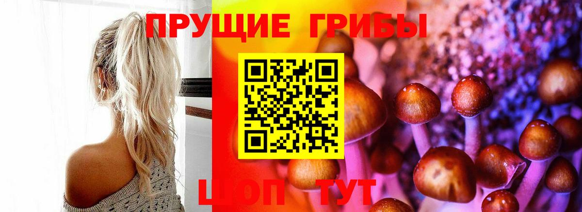 Псилоцибиновые грибы Psilocybine cubensis Ялта